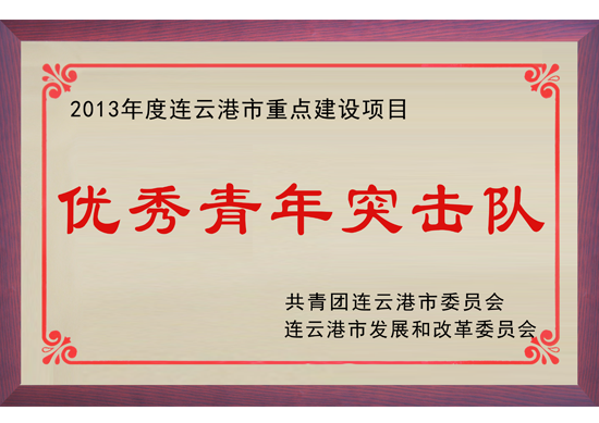 连云港优秀青年突击队证书